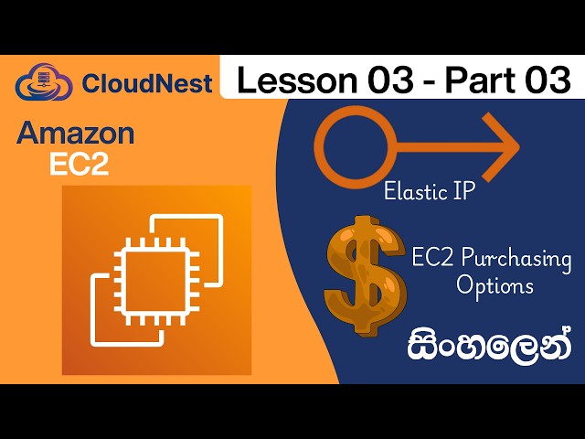 AWS EC2 Sinhala Tutorial | Elastic IP & EC2 Purchasing Options Explained | Lesson 3 - Part 03