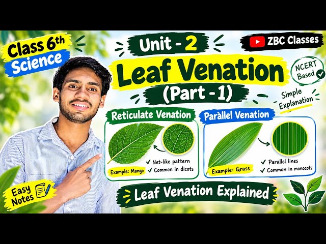 Class 6 Science Unit 2 | Leaf Venation | Reticulate & Parallel Venation | Part 1 | ZBC Classes