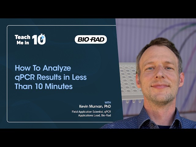 How To Analyze qPCR Results in Less Than 10 Minutes