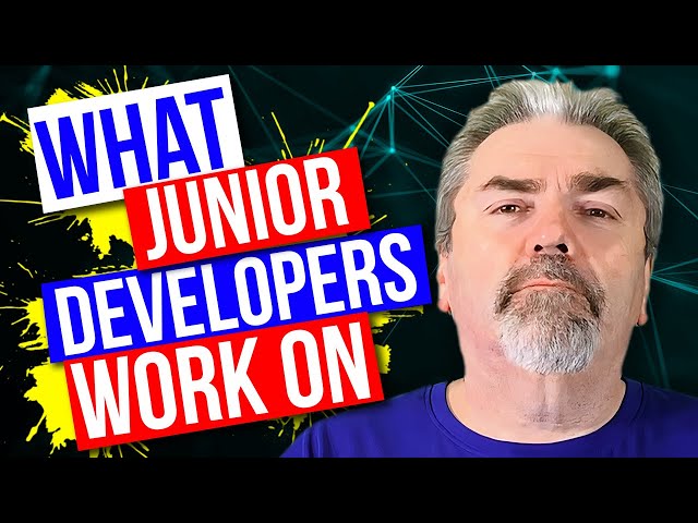 What Would A Junior Developer Work On?