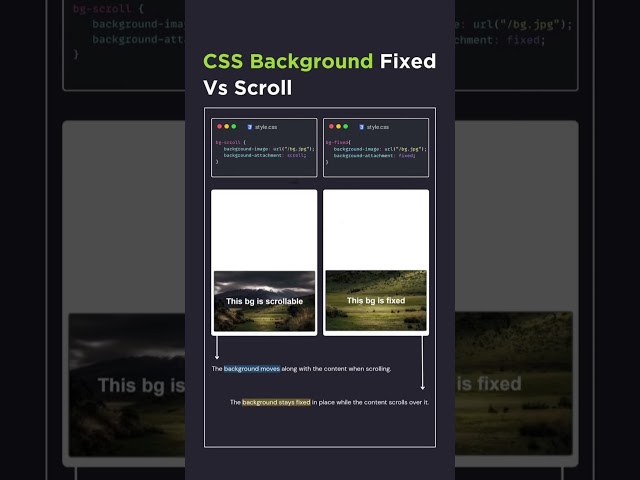 🚀 CSS Background: Fixed vs Scroll Explained! 🌟 HTML, JS, CSS3 Tips 🎨||#shorts #shortvideo #coding