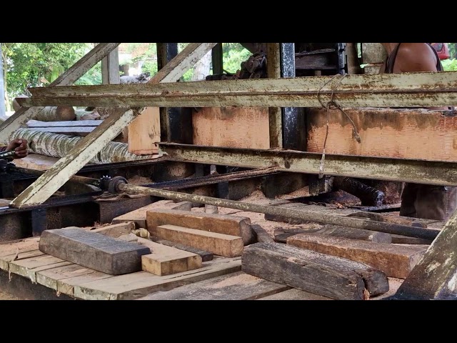 The Incredible Speed of Modern Timber Processing