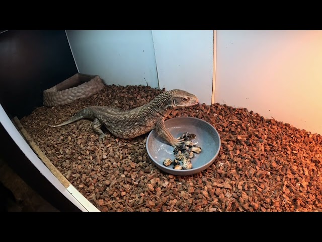 Another day at the shop