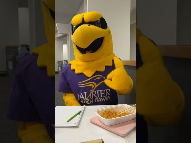 Day in the Life of Midas in Brantford