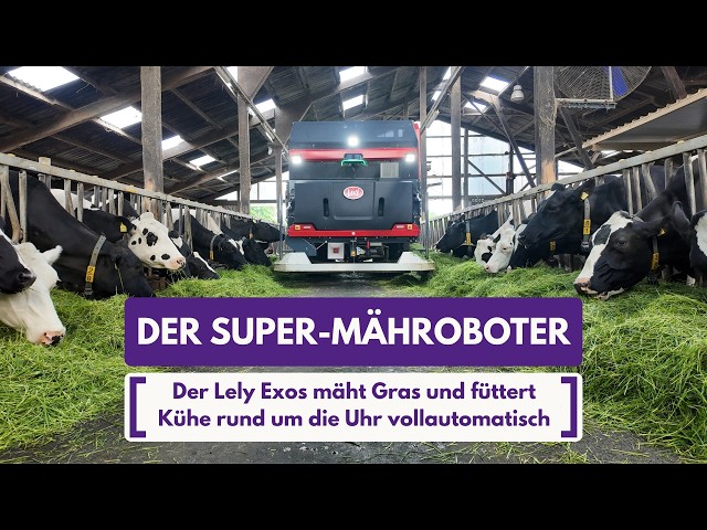 Robot mows grass and feeds cows around the clock – fully automatically
