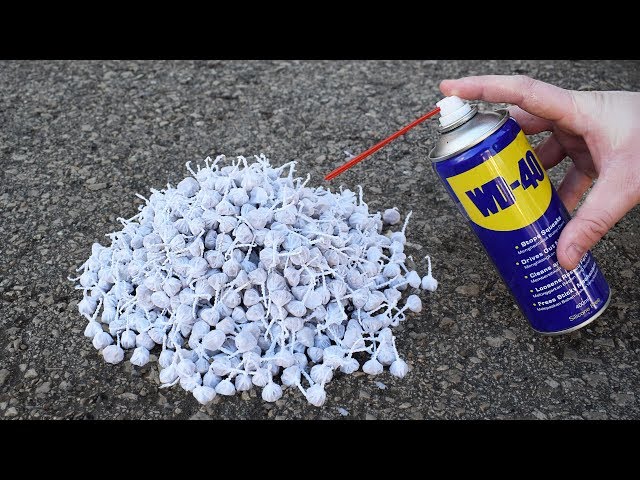 EXPERIMENT 1000 SNAPPERS FIRECRACKERS vs WD-40