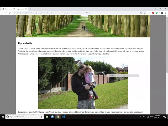 Learning HTML/CSS - Responsive images