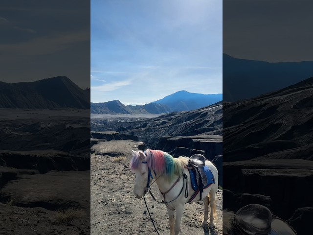 Cemoro Lawang…where jeeps, horses, and a volcano share the same road. East Java is unreal. 🚙🐎🌋