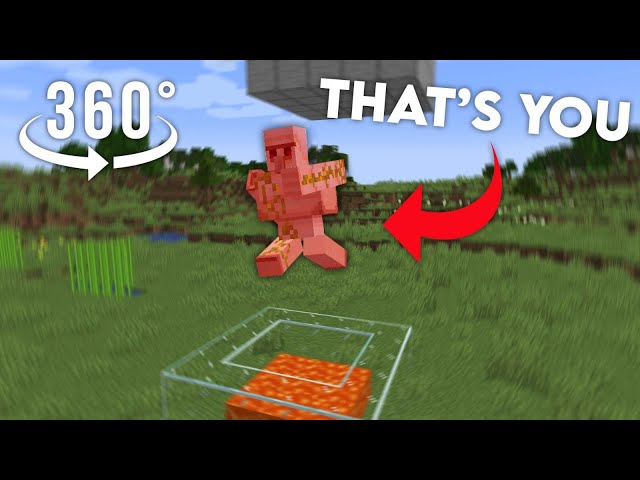 You’re an Iron Golem in my Iron Farm…