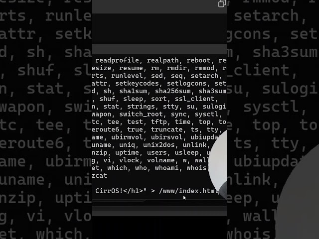 Making a SERVER in Docker is EASY