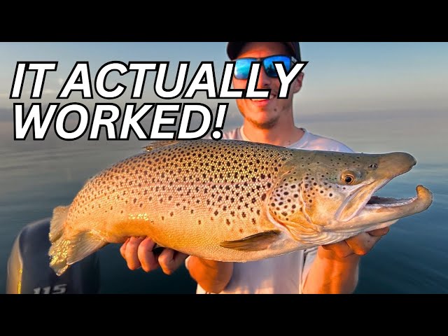 Brown Trout Cheat Code | Open Water Jigging GIANT Brown Trout