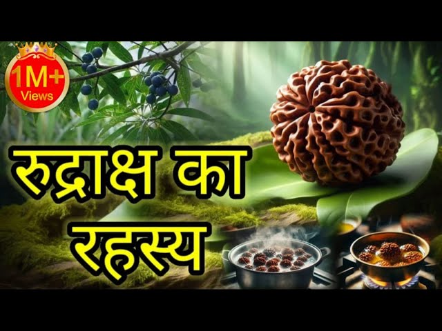 Rudraksh I रुद्राक्ष क्या है और क्यों इतना शक्तिशाली है , विज्ञान भी मानता है इसकी शक्तियों को