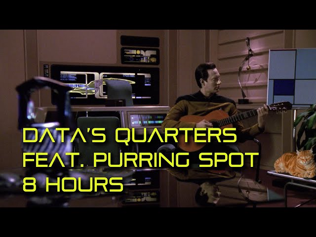 🎧 Data's Quarters feat. Spot (ear-to-ear cat purrs, crew conversations) *8 Hours* Ambience