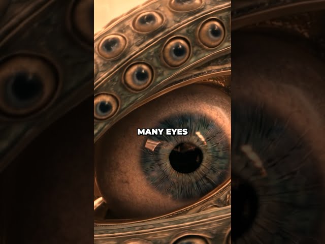Did Ancient Civilizations See Ezekiel’s Angels?