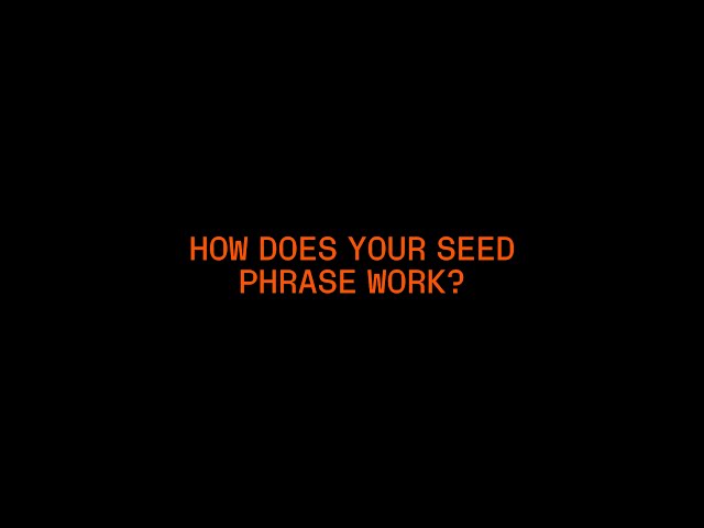 How Does Your Seed Phrase Work?
