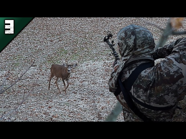 Shooter Michigan Whitetail Hunt | Chasing Moose | Deer Season 2024