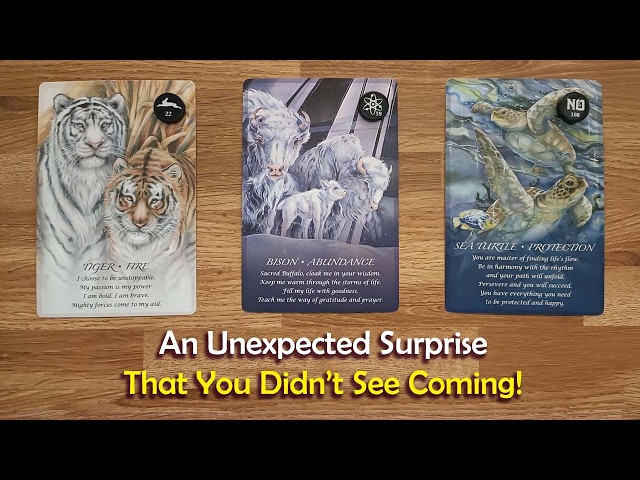An Unexpected Surprise You Didn't See Coming! 🙏🏻🥰🙏🏻💖Timeless Tarot Readings