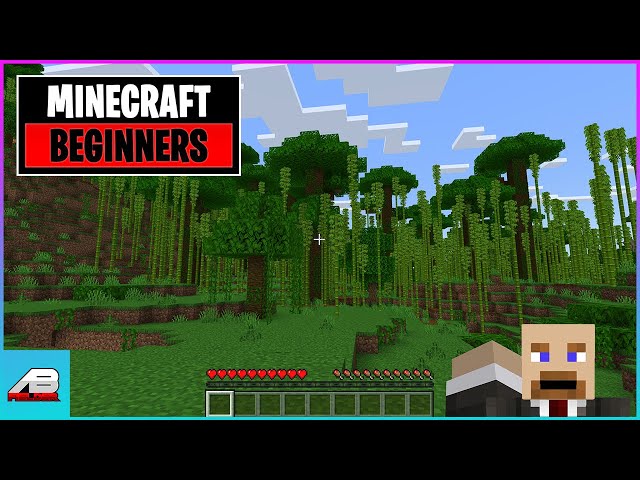 Minecraft Beginners Guide for Parents and Children Nintendo Switch Playstation xBox Bedrock