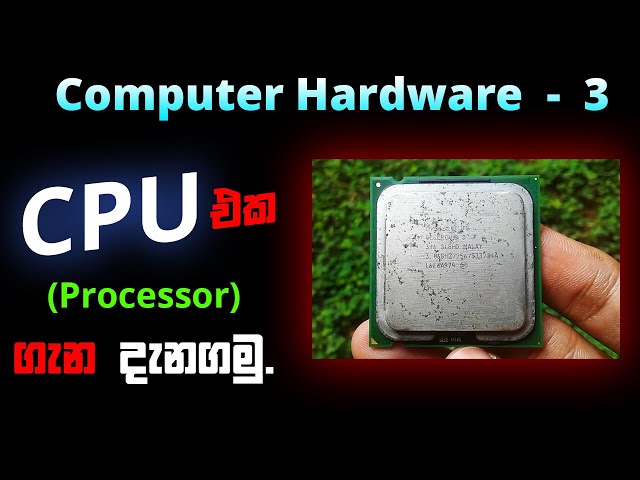 What is CPU (Processor) පිලිබද විස්තරේ | Part 3 | Computer Hardware sinhala | Anytiplk