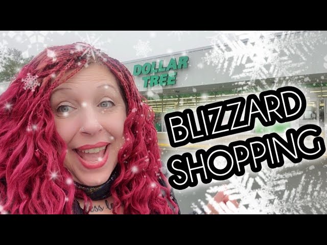COME DOLLAR TREE  SHOPPING in  the SNOW blizzard of 2026 earn chance to win Chanel & Stanley GIFT