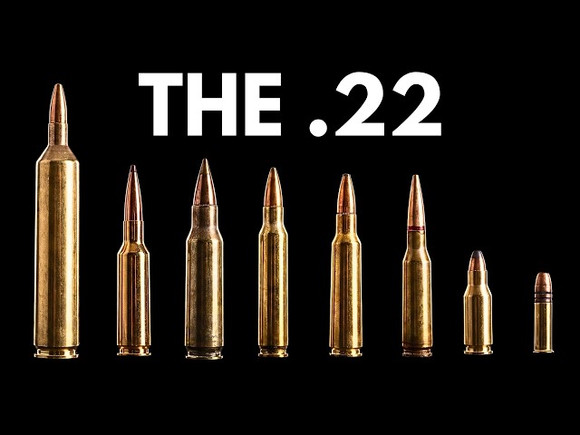 Every 22 Caliber Round Explained