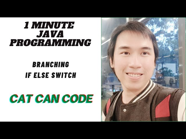 1 MINUTE JAVA PROGRAMMING | BRANCHING IF ELSE SWITCH | Cat Can Code