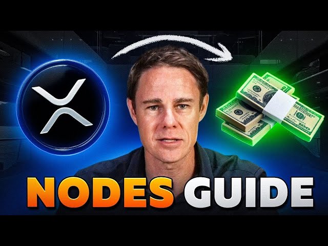 XRP Node Explained in Detail | Complete Guide to How XRP Ledger Nodes Work