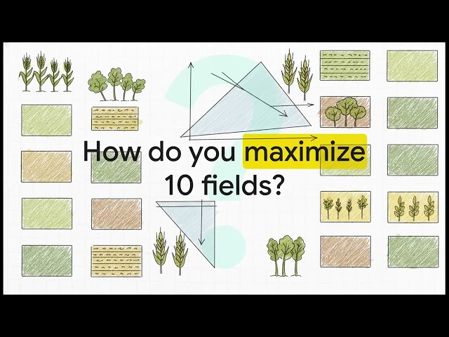 Everything You Need to Know About Linear Programming IGCSE Mathematics Cor... | IGCSE | Ace The Exam