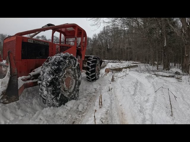 Working in the woods. Skidding / felling / bucking