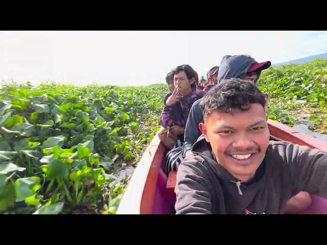 Branjang di rawa pening 