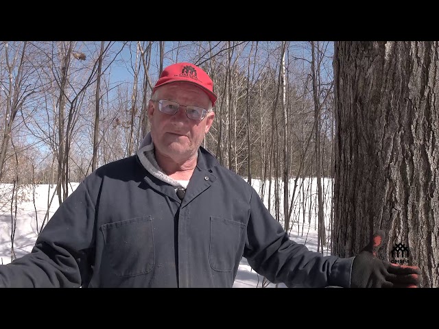 Maple Tapping Basics - featuring Ray Bonenberg