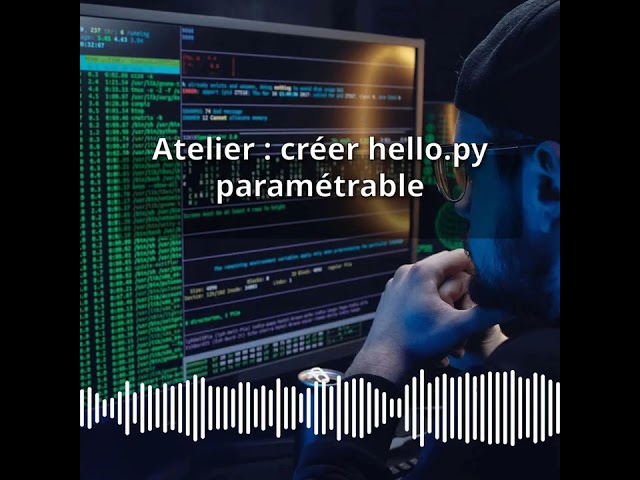 Atelier : créer hello.py paramétrable | Expert CyberSecurité & DevSecOps : Développer, PenTester...