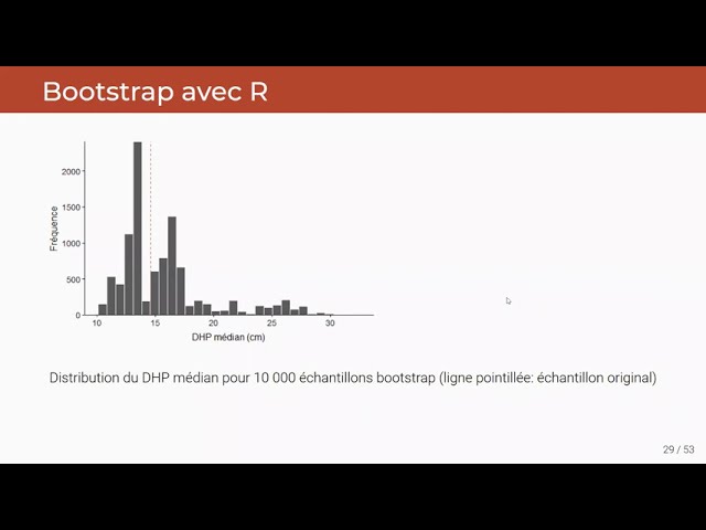 ECL8202, Cours 1.4 Le principe du bootstrap