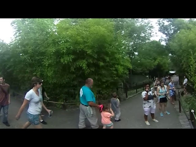 DC 360: Elephants at Smithsonian's National Zoo