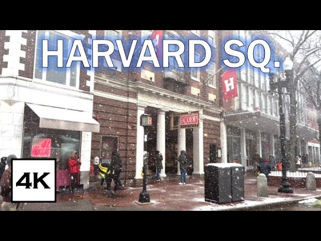Harvard Square Winter Walk 4K | Cozy Afternoon Stroll Through Snowy Streets