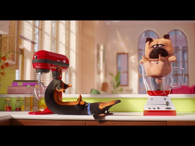 The Secret Life of Pets 2 - "Buddy & Mel" 20 - In Cinemas May 24