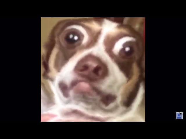 Mr Bubz (content aware scale)
