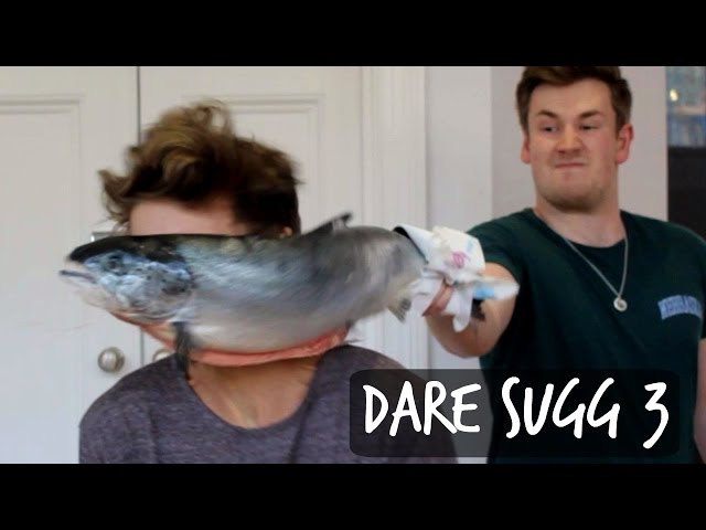 DARE SUGG 3