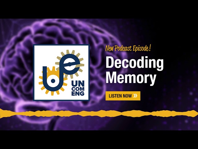 The Uncommon Engineer: Decoding Memory with Annabelle Singer