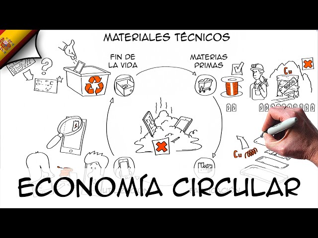 Economía Circular: definición y ejemplos | Sostenibilidad Ambiental
