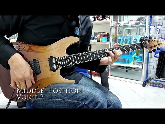 Schecter C1 FR S SLS Elite - Antique Fade Burst | Sound Review | Part 1