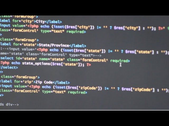 Custom Development Services