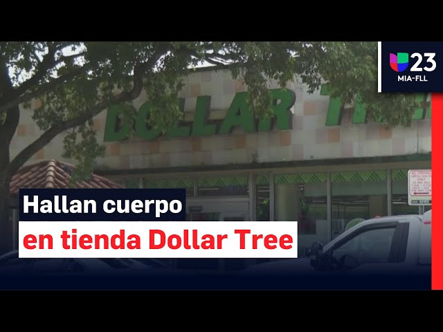 Misterio en Miami: mujer hallada en congelador