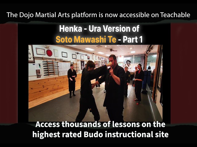 Cross grab and punch Budo Defense #8