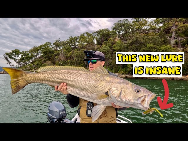 Catching 3 MONSTER MULLOWAY on 12lb leader-Hawkesbury River Fishing