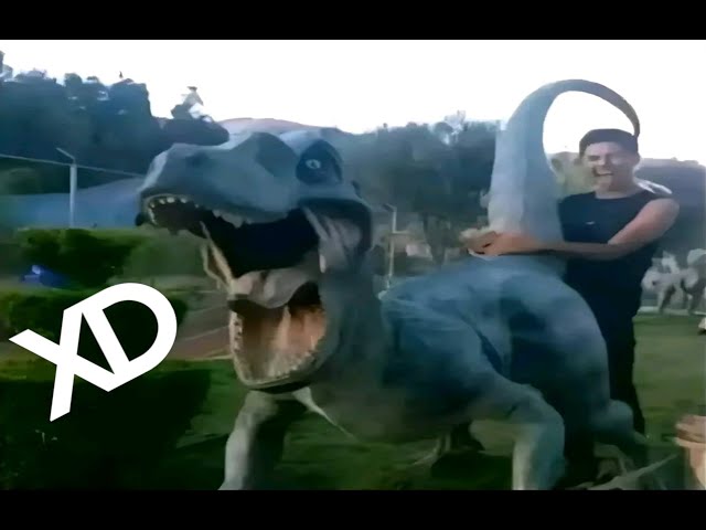 SI TE RÍES PIERDES 😂 VIDEOS DE RISA 🤣 MOMENTOS XD #66