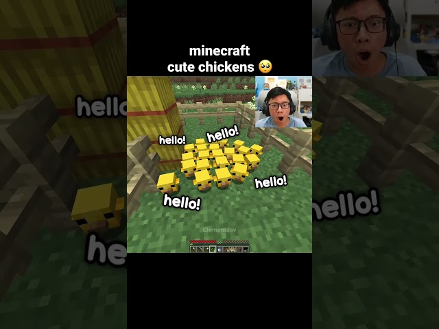 Minecraft Cute Chickens Moment