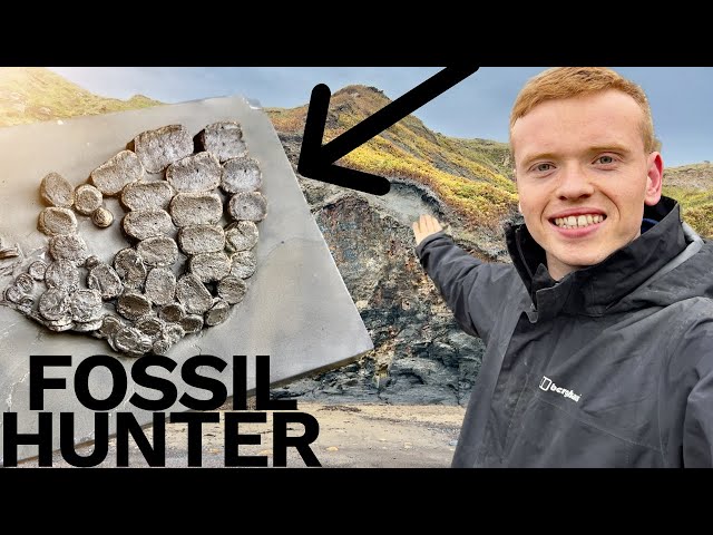 ICHTHYOSAUR Paddle Bones! Mud Slip Fossil Hunting | Fossil Hunter