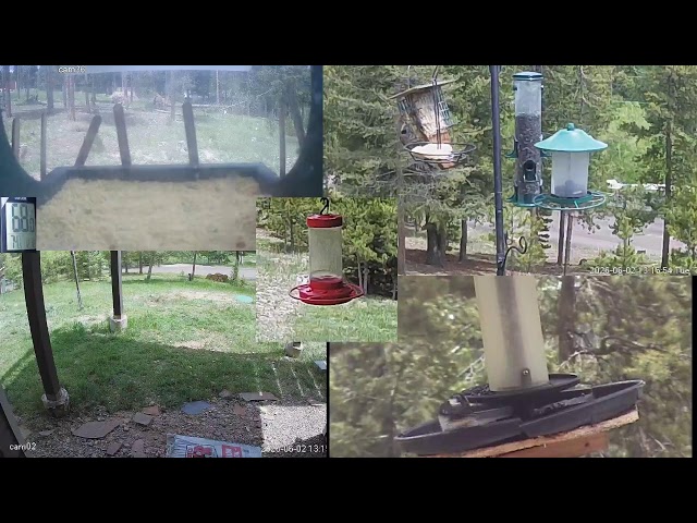 Live Nature Cams