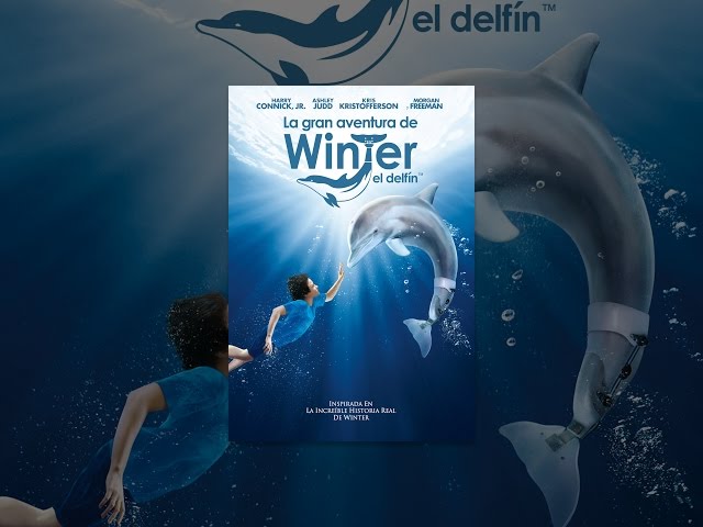 La gran aventura de Winter el delfin